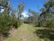 Photo - Lot 65 Matchbox Road, Deepwater QLD 4674 - Image 5