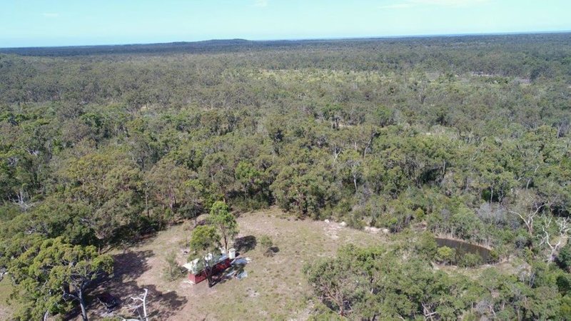 Photo - Lot 65 Matchbox Road, Deepwater QLD 4674 - Image 6