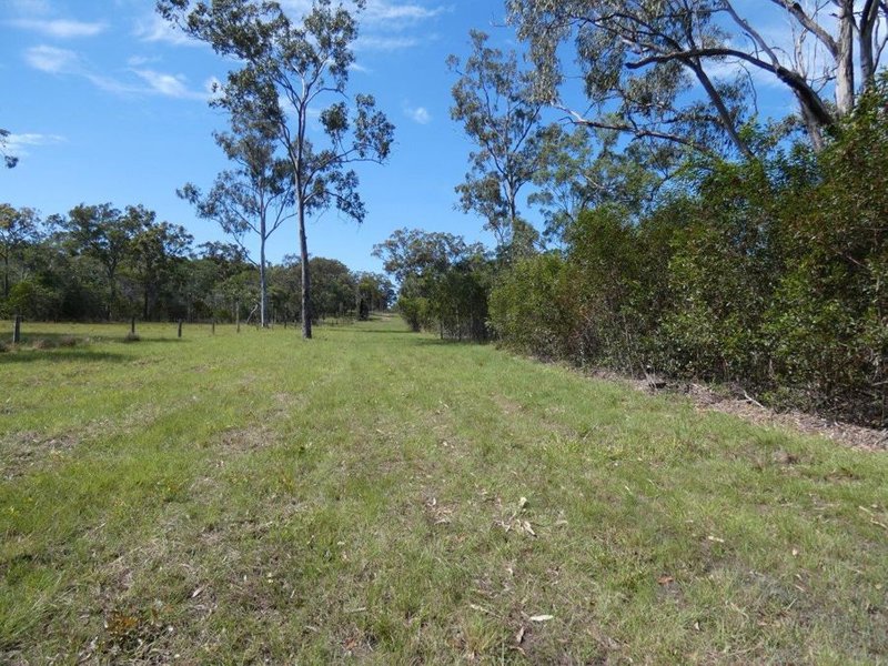 Photo - Lot 65 Matchbox Road, Deepwater QLD 4674 - Image 8