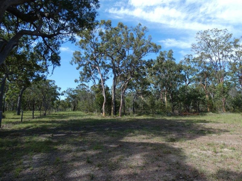 Photo - Lot 65 Matchbox Road, Deepwater QLD 4674 - Image 10