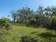 Photo - Lot 65 Matchbox Road, Deepwater QLD 4674 - Image 11