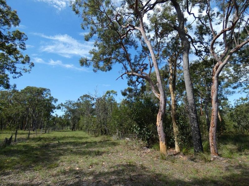 Photo - Lot 65 Matchbox Road, Deepwater QLD 4674 - Image 14