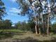 Photo - Lot 65 Matchbox Road, Deepwater QLD 4674 - Image 14