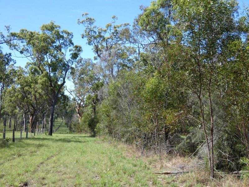 Photo - Lot 65 Matchbox Road, Deepwater QLD 4674 - Image 15