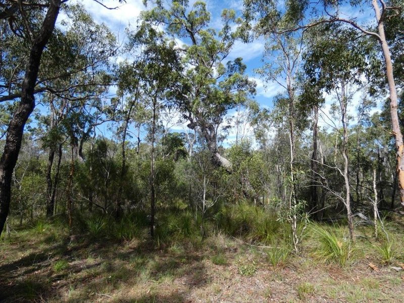 Photo - Lot 65 Matchbox Road, Deepwater QLD 4674 - Image 16