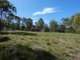 Photo - Lot 65 Matchbox Road, Deepwater QLD 4674 - Image 17