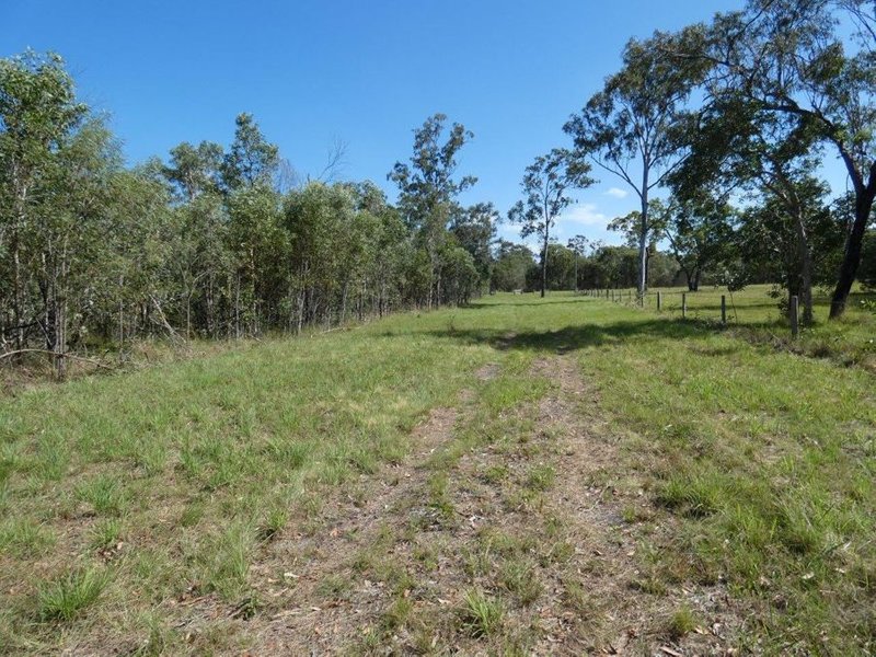 Photo - Lot 65 Matchbox Road, Deepwater QLD 4674 - Image 18