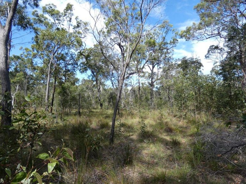 Photo - Lot 65 Matchbox Road, Deepwater QLD 4674 - Image 26