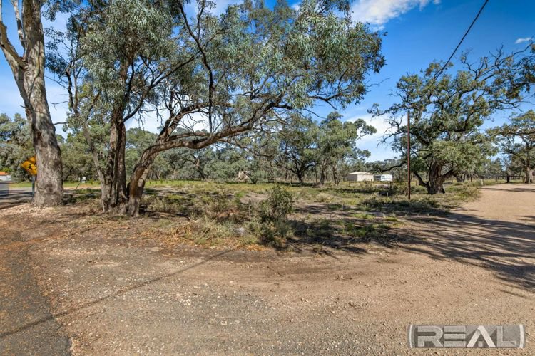 Photo - Lot 68 Page Drive, Blanchetown SA 5357 - Image 4