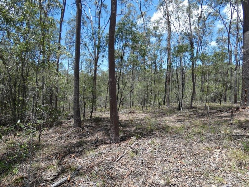 Photo - Lot 69 Cross Road, Euleilah QLD 4674 - Image 22