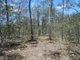 Photo - Lot 69 Cross Road, Euleilah QLD 4674 - Image 23