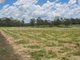 Photo - Lot 69 Ellesmere North Road, Ellesmere QLD 4610 - Image 3