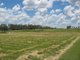 Photo - Lot 69 Ellesmere North Road, Ellesmere QLD 4610 - Image 4