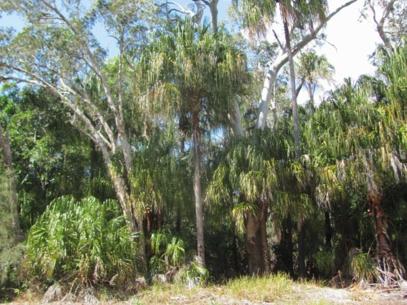 Photo - Lot 69 Fingerfield Road, Rules Beach QLD 4674 - Image 2