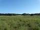 Photo - Lot 69 Fingerfield Road, Rules Beach QLD 4674 - Image 3