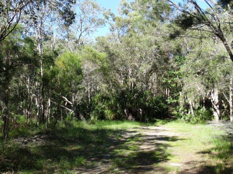 Photo - Lot 69 Fingerfield Road, Rules Beach QLD 4674 - Image 22