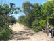 Photo - Lot 69 Fingerfield Road, Rules Beach QLD 4674 - Image 24