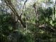 Photo - Lot 69 Fingerfield Road, Rules Beach QLD 4674 - Image 25