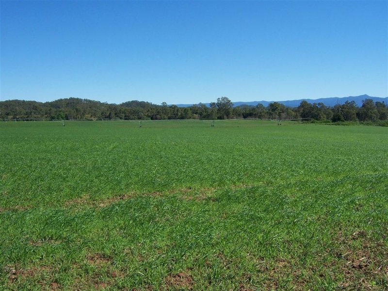 Photo - Lot 69 Mia Mia Connection Road, Mia Mia QLD 4754 - Image 15