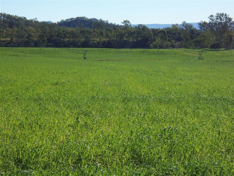 Photo - Lot 69 Mia Mia Connection Road, Mia Mia QLD 4754 - Image 16