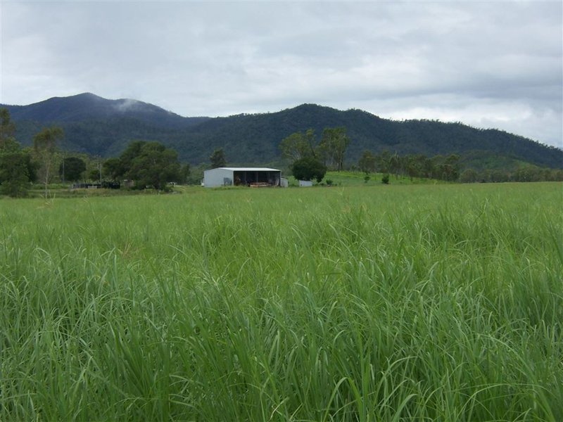 Photo - Lot 69 Mia Mia Connection Road, Mia Mia QLD 4754 - Image 18