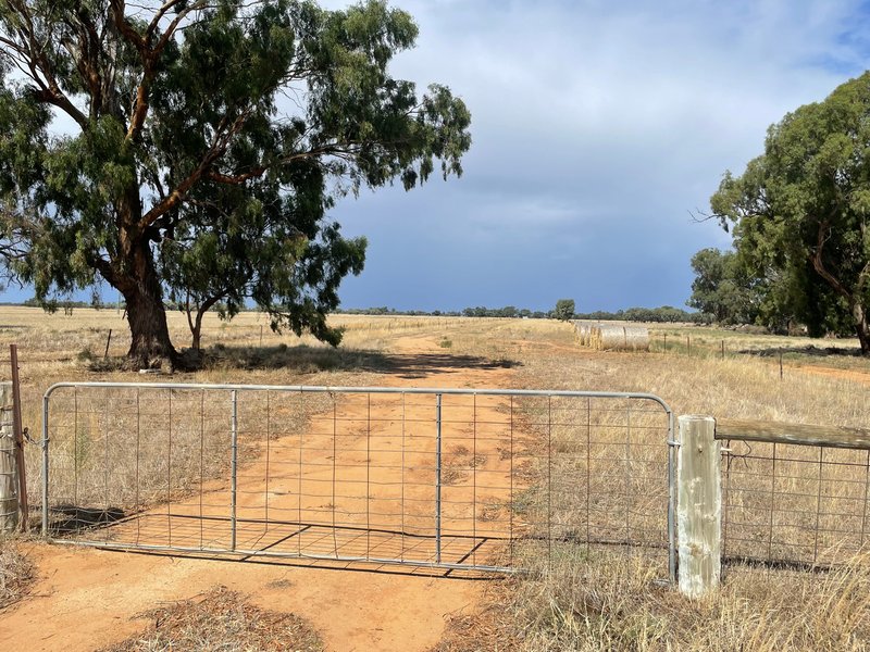 Photo - Lot 6/Hogans Lane , Deniliquin NSW 2710 - Image 3