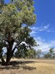 Photo - Lot 6/Hogans Lane , Deniliquin NSW 2710 - Image 4