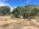 Photo - Lot 6/Hogans Lane , Deniliquin NSW 2710 - Image 9