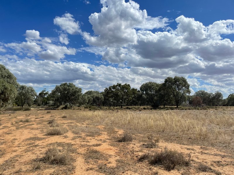 Photo - Lot 6/Hogans Lane , Deniliquin NSW 2710 - Image 10