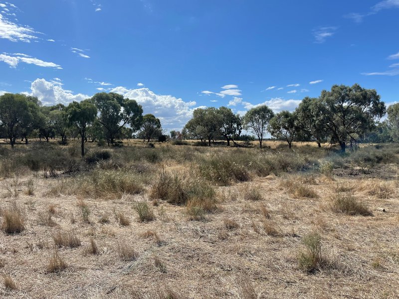 Photo - Lot 6/Hogans Lane , Deniliquin NSW 2710 - Image 13
