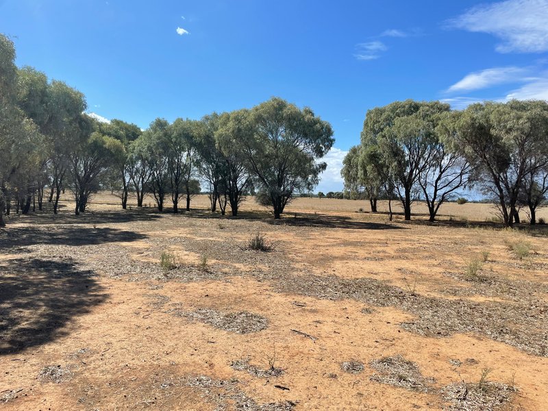 Photo - Lot 6/Hogans Lane , Deniliquin NSW 2710 - Image 15