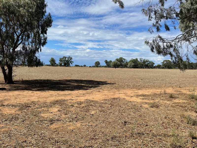 Photo - Lot 6/Hogans Lane , Deniliquin NSW 2710 - Image 16