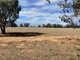 Photo - Lot 6/Hogans Lane , Deniliquin NSW 2710 - Image 16