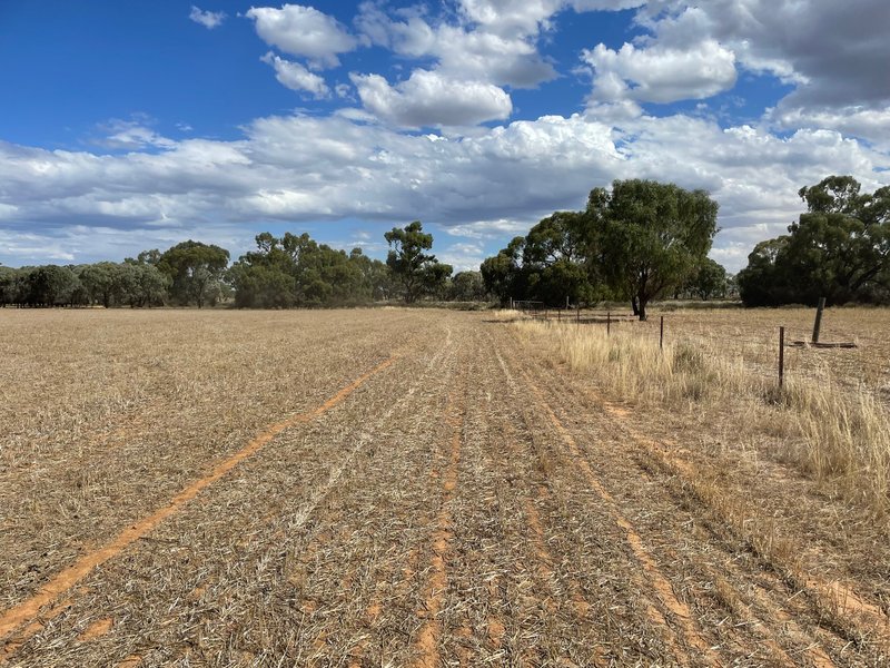 Photo - Lot 6/Hogans Lane , Deniliquin NSW 2710 - Image 18