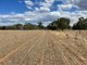 Photo - Lot 6/Hogans Lane , Deniliquin NSW 2710 - Image 18