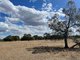 Photo - Lot 6/Hogans Lane , Deniliquin NSW 2710 - Image 19
