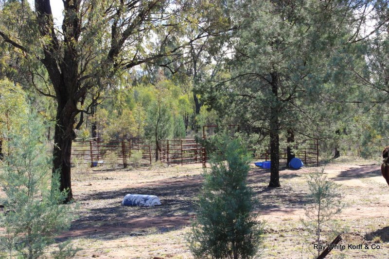 Photo - LOT 7 162 Werribee Road, Premer NSW 2381 - Image 6