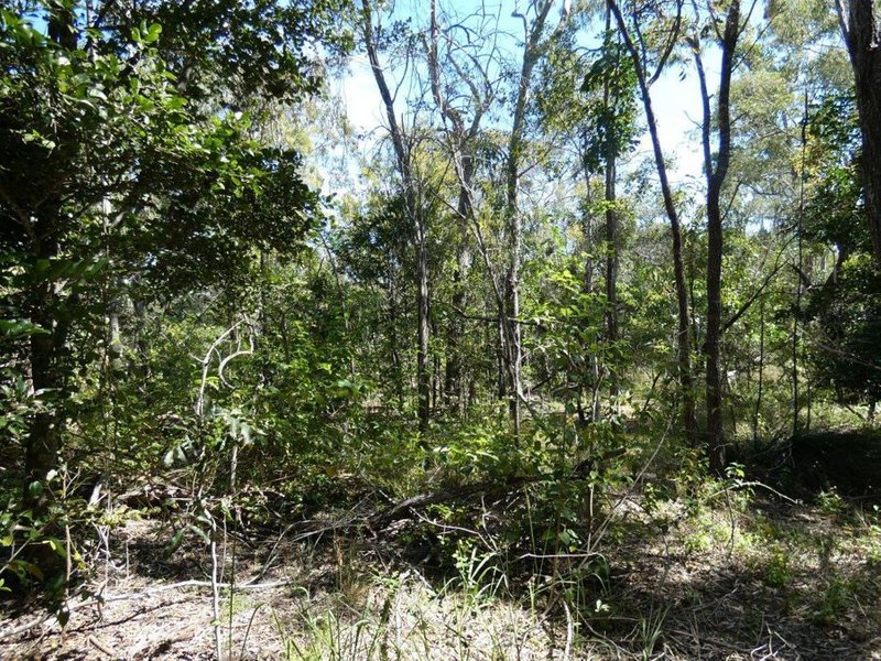 Photo - Lot 7 Coast Road, Baffle Creek QLD 4674 - Image 6