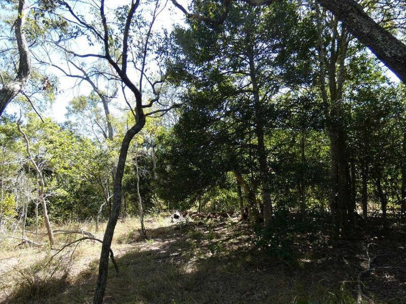 Photo - Lot 7 Coast Road, Baffle Creek QLD 4674 - Image 8