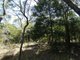 Photo - Lot 7 Coast Road, Baffle Creek QLD 4674 - Image 8