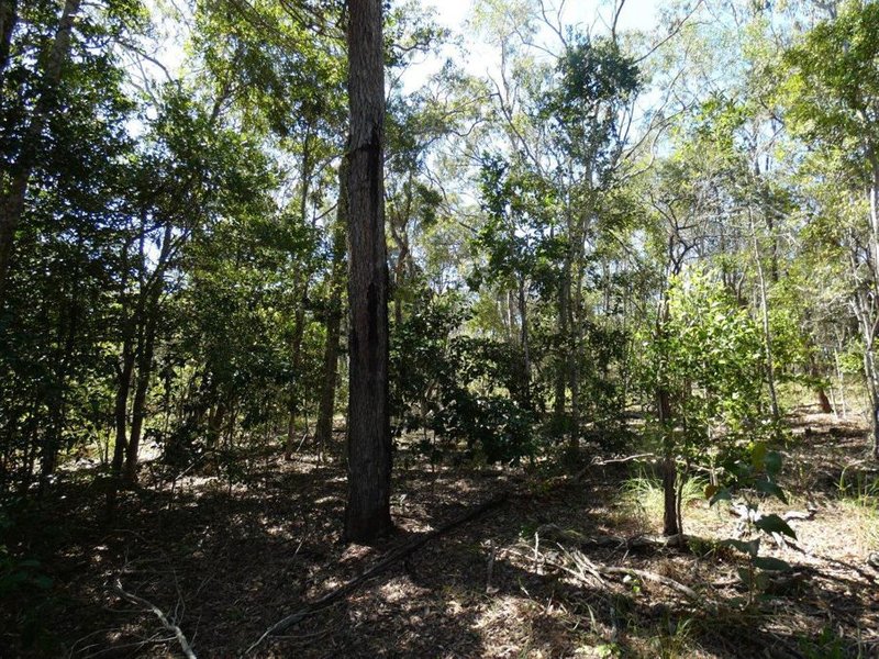 Photo - Lot 7 Coast Road, Baffle Creek QLD 4674 - Image 9