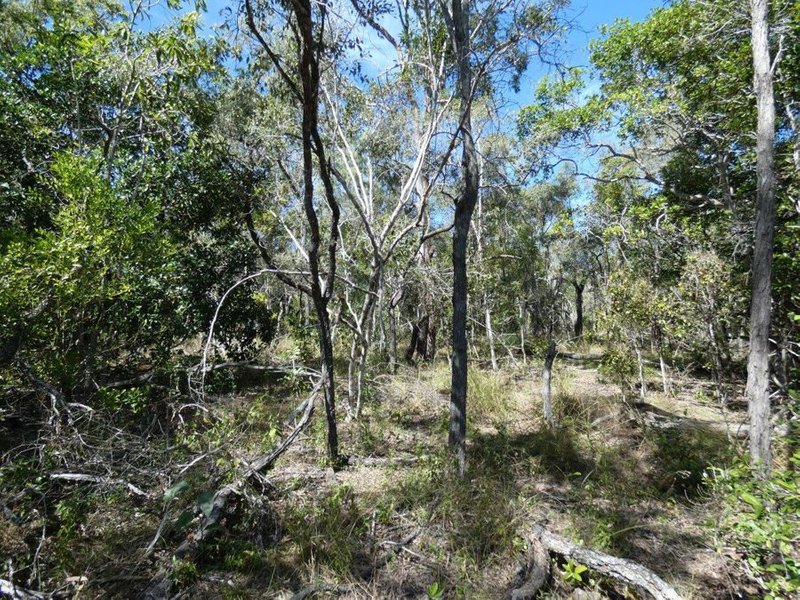 Photo - Lot 7 Coast Road, Baffle Creek QLD 4674 - Image 14