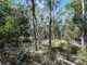 Photo - Lot 7 Coast Road, Baffle Creek QLD 4674 - Image 14