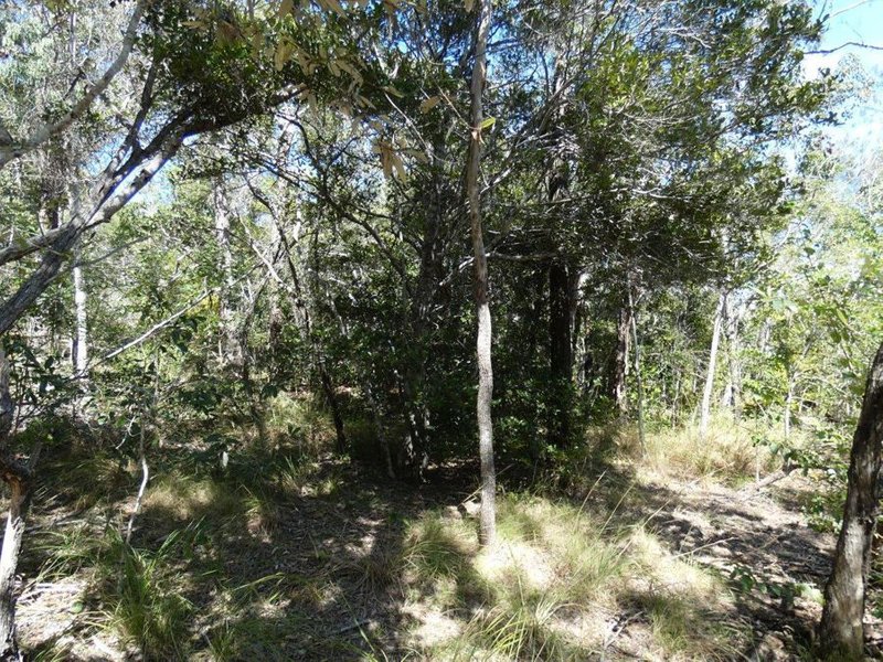 Photo - Lot 7 Coast Road, Baffle Creek QLD 4674 - Image 17