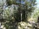 Photo - Lot 7 Coast Road, Baffle Creek QLD 4674 - Image 17