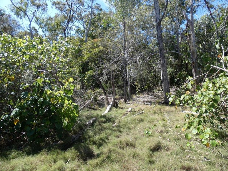 Photo - Lot 7 Coast Road, Baffle Creek QLD 4674 - Image 19