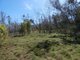 Photo - Lot 7 Coast Road, Baffle Creek QLD 4674 - Image 20