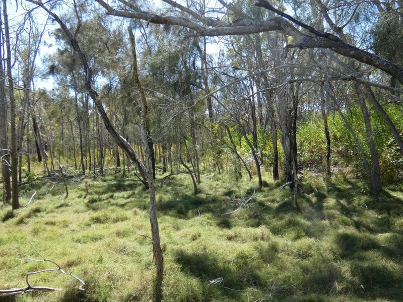 Photo - Lot 7 Coast Road, Baffle Creek QLD 4674 - Image 21