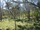 Photo - Lot 7 Coast Road, Baffle Creek QLD 4674 - Image 21