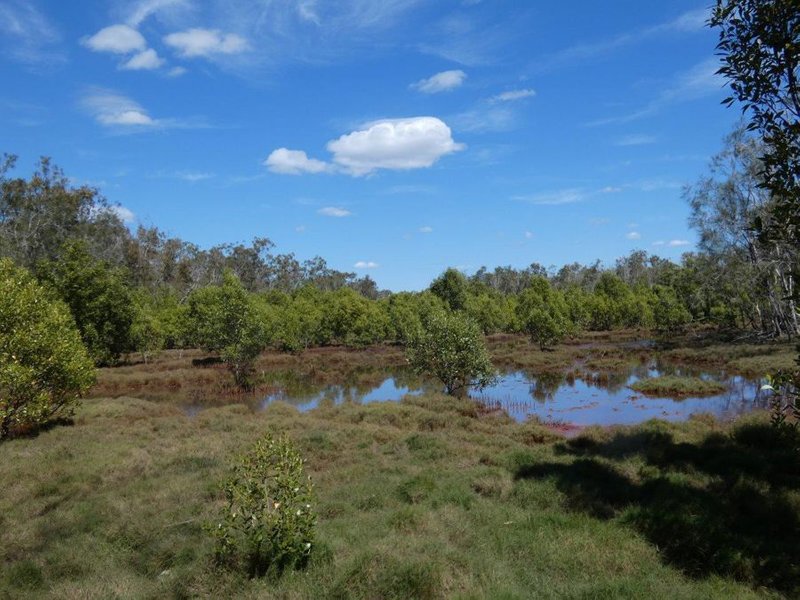 Photo - Lot 7 Coast Road, Baffle Creek QLD 4674 - Image 22